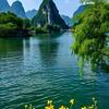 巴蒂头像