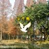 云中鹤逛成都头像