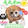 阳乐希头像