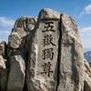 布林⁶⁸⁰💫头像