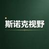 斯诺克视野头像