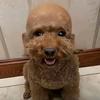 笑看人生头像