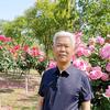 冰凌·半夏柔情•歌与远方头像