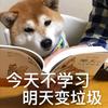 搞笑日常头像