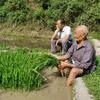 杨朱贰圆万万头像