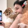 小鹿妖妖头像