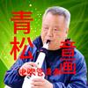 青松音画头像
