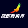 鹰眼看来宾头像
