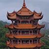北方红哥888头像