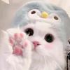 萌物星球头像