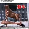 股市小股民老六头像