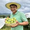 山哥（团队招人）头像