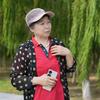 朴实无华头像