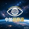 中加洞察家头像
