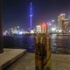 晨阳拾光头像