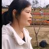 夏姐来了头像