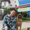 爱训犬的王班长（招训犬师）头像