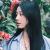 菡絮🌳头像