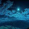 棱镜蓝星头像