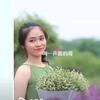 根香彩梅头像