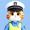 猫叔交通事故分析员头像