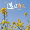北之星软件头像