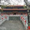 游走深惠的解签师头像
