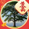 上善若水头像