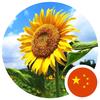 吾凤来仪好物分享头像
