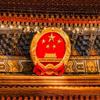 九洲同头像
