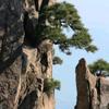溶异 “家乡美”头像