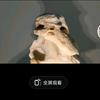 空神沙头像