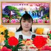 杨萍头像