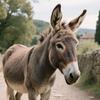 一头犟驴头像