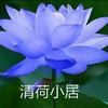 清荷小居头像