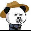 每天十小时（概念版）头像