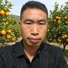 强子（回农村）头像