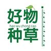 日修一善头像