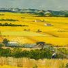 守望麦田头像