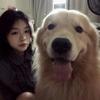 小阿晴同学头像