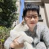 骏马奔腾头像