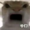 用户9598460025192头像