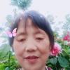 文菊但愿人长久，千里共婵娟，头像