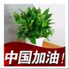 山西太原V精品花卉头像
