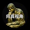 向真视角头像