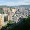 全糖去冰头像