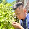 苗疆小哥哥头像