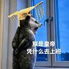 小鸡吨吨头像