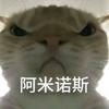 批判主义头像