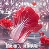 金生水起头像